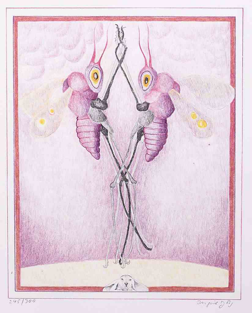 ohne Titel (Insekten)